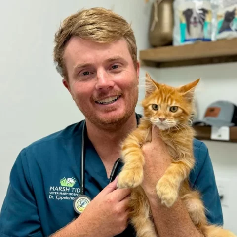 Marsh-Tide-Veterinarian-DVM-Andrew-Eppelsheimer-headshot-with-orange-tabby-cat