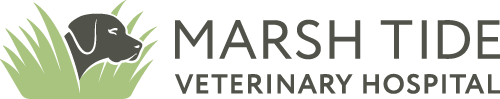 Marsh Tide Veterinarians