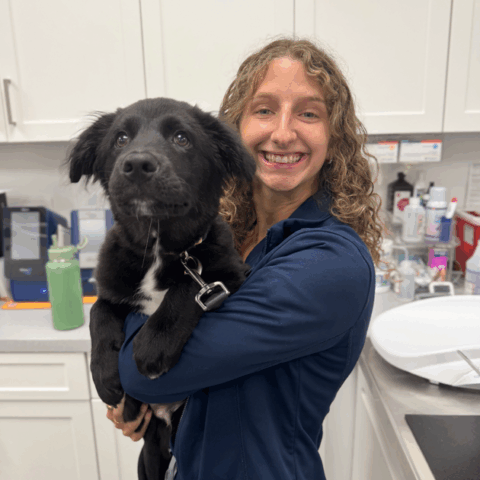 Chrissy-Hatchell-Veterinary-Assistant-at-Marsh-Tide-Veterinary
