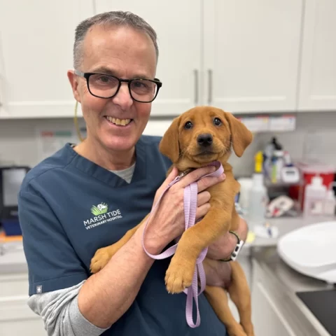 Tim-Palumbo-Veterinary-Technician