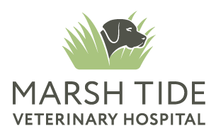 Marsh Tide Veterinarians