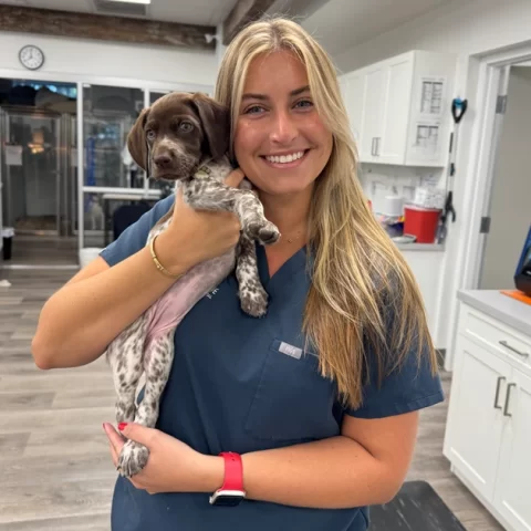 Baylor-Shears-Vet-tech-posing-with-GSP-puppy