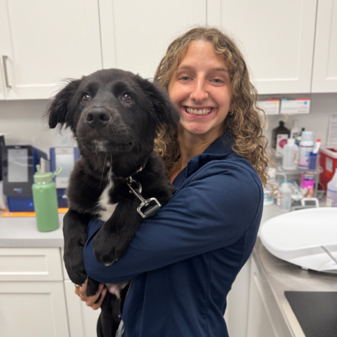 Chrissy-Hatchell-Veterinary-Assistant-at-Marsh-Tide-Veterinary