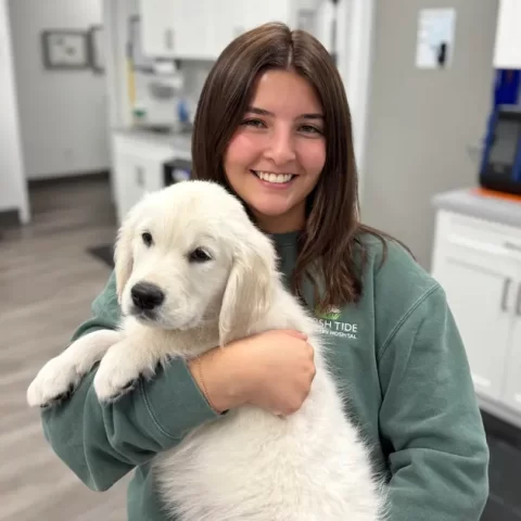 Marsh Tide Veterinary Hospital newest employee and her while Labrador Retriever.