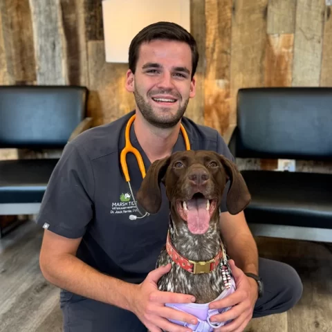 Marsh-Tide-Veterinarian-DVM-Jack-Remke-kneeling-with-GSP-in-front-of-MTVH-sign-in-lobby